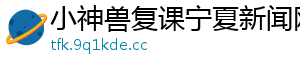 小神兽复课宁夏新闻网